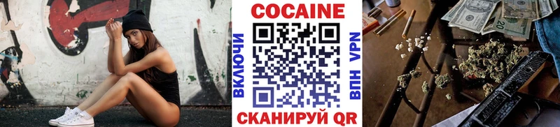 Купить закладки  Кстово  Cocaine Fish Scale 