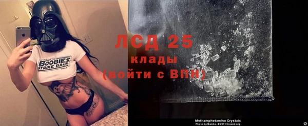 прущие грибы Верхнеуральск