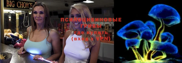 прущие грибы Верхнеуральск