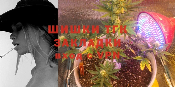 прущие грибы Верхнеуральск