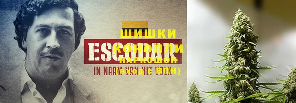 прущие грибы Верхнеуральск