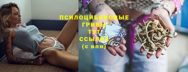 прущие грибы Верхнеуральск